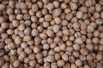 Walnuts in shell. Natural walnut background pattern texture.
