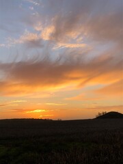 sunset over the field