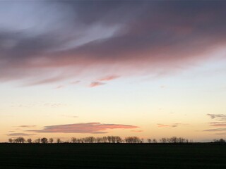 sunset over the field