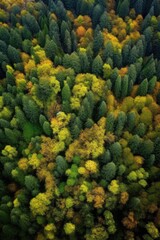 aerial view of a lush green forest during autumn, created with generative ai