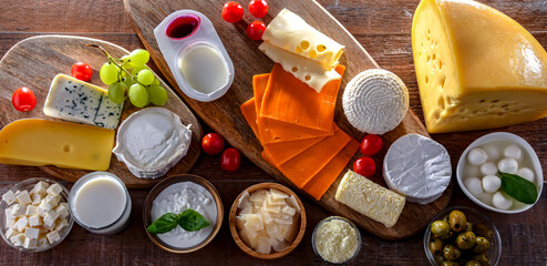 A variety of dairy products including cheese, milk and yogurt