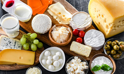 A variety of dairy products including cheese, milk and yogurt