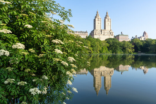 The San Remo Building in Central Park, New York City, USA