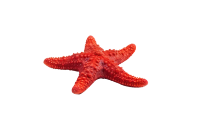 Red starfish isolated on transparent background. Generative AI.
