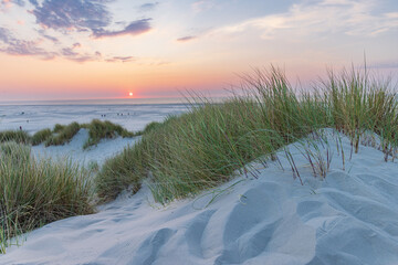 Dunes landscape during sunset at the beach of Wadden island Terschelling Friesland province in The Netherlands