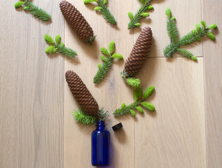 healthy essential oil glass bottle concentrating spruce cones and buds