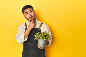 Asian gardener man holding a plant, yellow studio backdrop looking sideways with doubtful and...