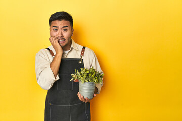 Asian gardener man holding a plant, yellow studio backdrop biting fingernails, nervous and very anxious.