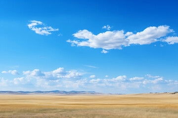 Fototapeta na wymiar photo ofblue sky and steppe