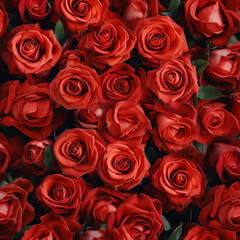 A seamless collage of lush red roses
