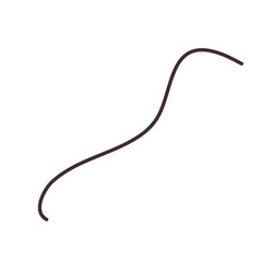 Organic Curved Line