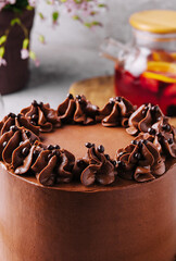 tasty homemade chocolate cake with tea