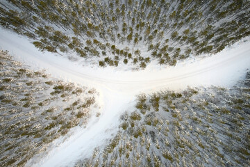 fork in the road in winter forest