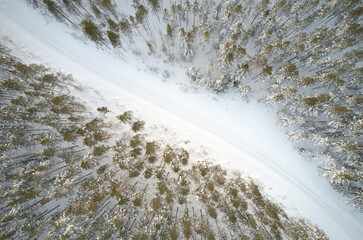 snow covered forest road