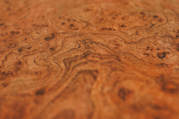 elm root wood texture with wavy grain