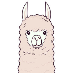 Cute Lama face. Childish print for fabric, t-shirt, poster. Illustration on transparent background