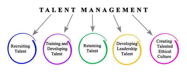 Five goals of talent management