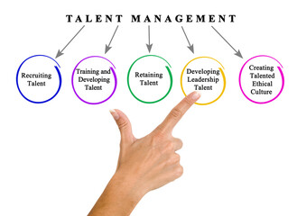 Five goals of talent management