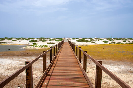 pond of Mari Ermi beach, Cabras, Oristano, Sardinia, Italy