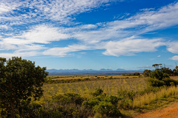 Fototapeta na wymiar Beautiful fields and mountains under a blue sky on the road towards George, Western Cape, South Africa.