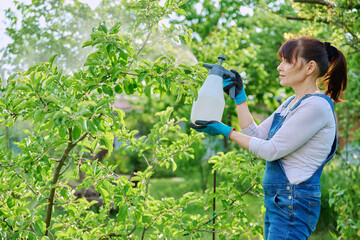 Woman sprays fungicides on fruit trees from plant diseases and pests