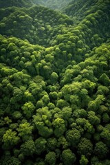 aerial view of a lush green forest, created with generative ai