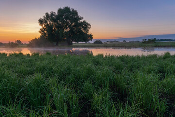 sunrise on the river