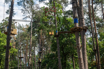 Fototapeta premium rope amusement park for children in a pine forest. sunny summer day
