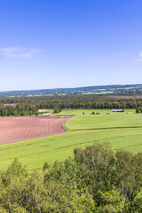 Fototapeta na wymiar Beautiful view at a rural landscape in summer