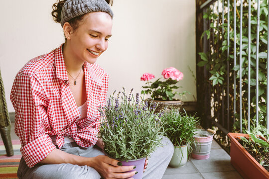 Caring for houseplant planted in flowerpot