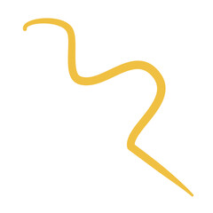 Worm Intestinal Parasite