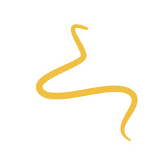 Worm Intestinal Parasite