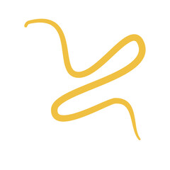 Worm Intestinal Parasite