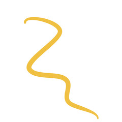 Worm Intestinal Parasite