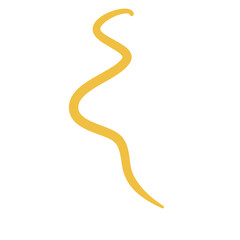 Worm Intestinal Parasite