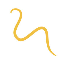 Worm Intestinal Parasite