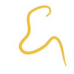 Worm Intestinal Parasite