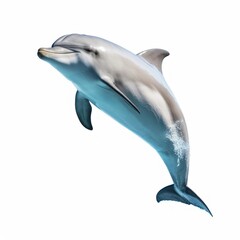 Dolphin Water Animal. Isolated on White Background. Generative AI.