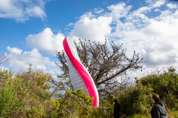 The take off of versatile paragliding failed in Flinders Golf Club. The parachute is hanged on the...