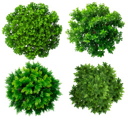 Large Deciduous Trees Top Plan View. Green Foliage Isolated. Ai Generative