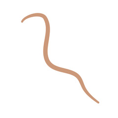Earthworm Logo, Isolated Earthworm on White Background