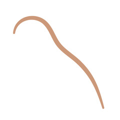 Earthworm Logo, Isolated Earthworm on White Background