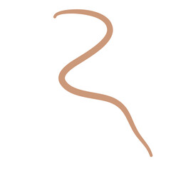 Earthworm Logo, Isolated Earthworm on White Background