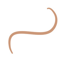 Earthworm Logo, Isolated Earthworm on White Background