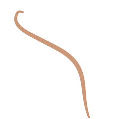 Earthworm Logo, Isolated Earthworm on White Background