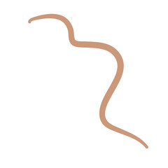 Earthworm Logo, Isolated Earthworm on White Background