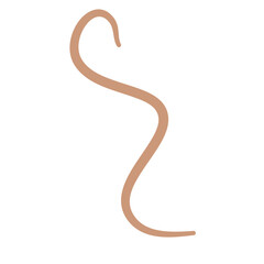 Earthworm Logo, Isolated Earthworm on White Background