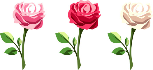 Rose flowers with stems isolated on a white background. Set of red, pink, and white roses. Vector illustrations
