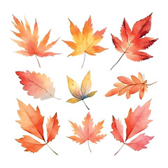 Beautiful autumn leaves watercolor, great design for any purposes.