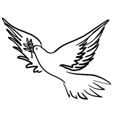 Hand drawn peace dove with olive branch (black pencil)
